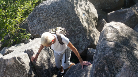 Boulder field image